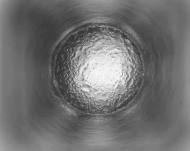 X0000071940829200607212158
