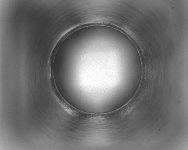 X0000071940838200607212158