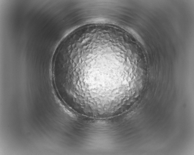 X0000071940839200607212158