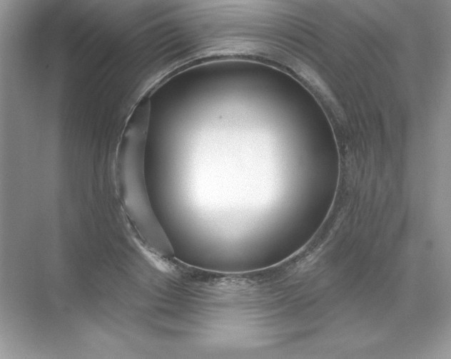 X0000071940842200607212158