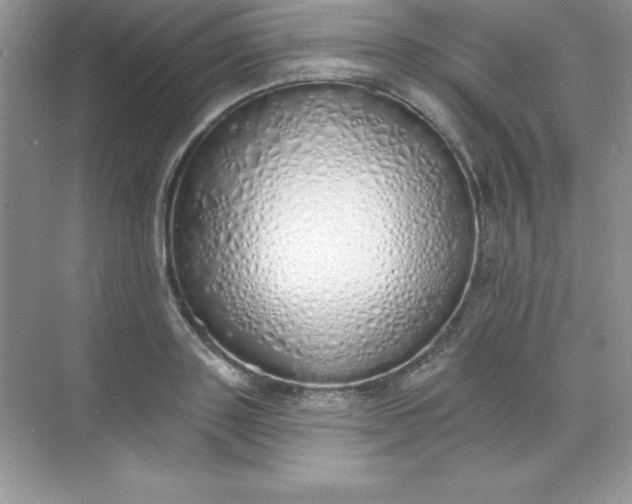 X0000071940843200607212158