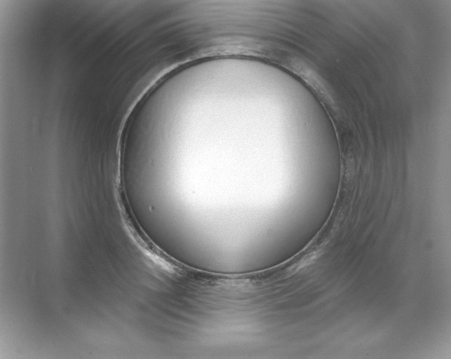 X0000071940844200607212158