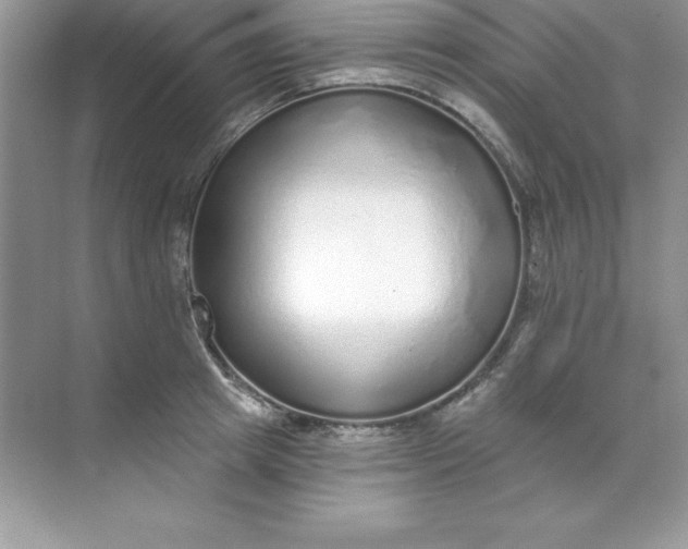 X0000071940849200607212158