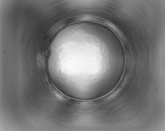 X0000071940857200607212159