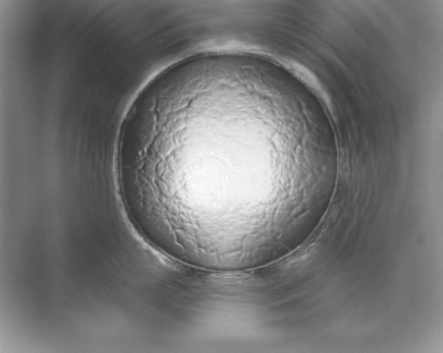 X0000071940863200607212159