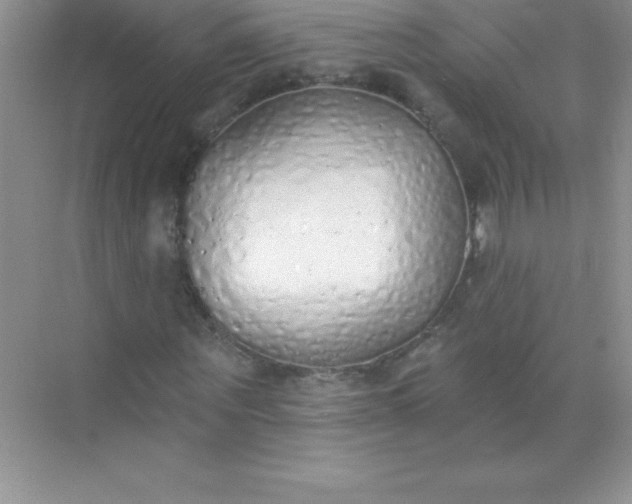 X0000071940867200607212158