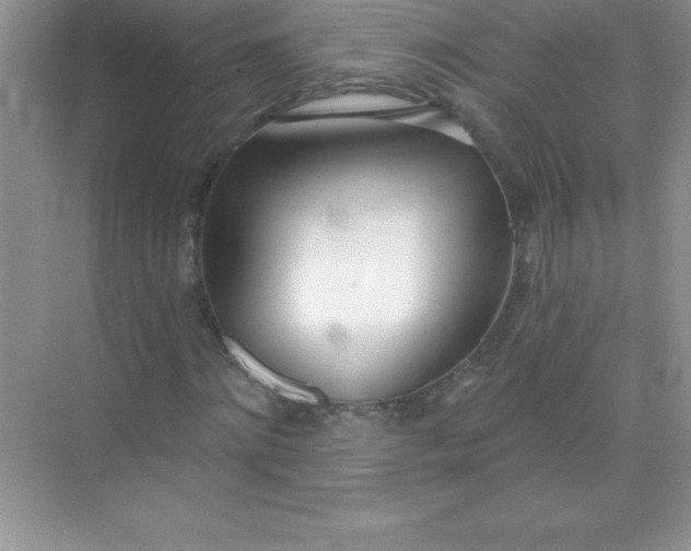 X0000071940868200607212158