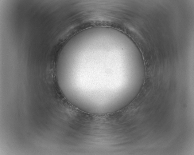 X0000071940870200607212158