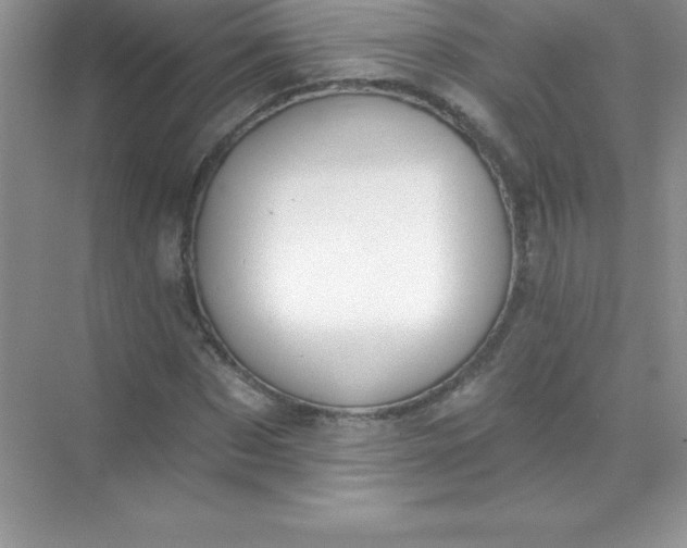 X0000071940873200607212158