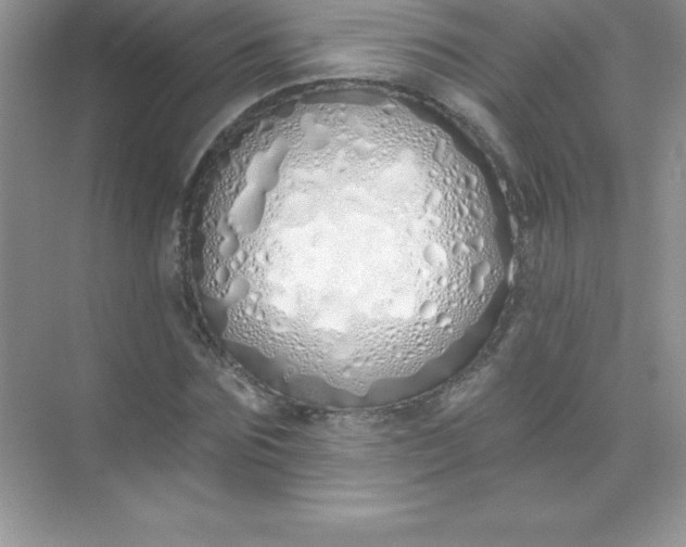 X0000071940875200607212158