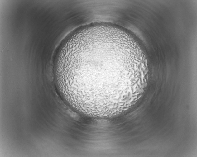 X0000071940878200607212158