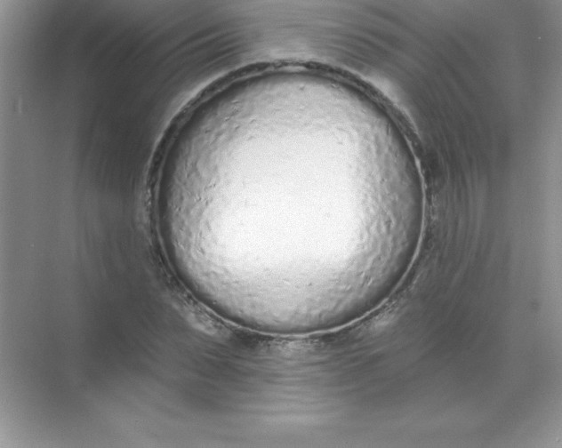 X0000071940879200607212158