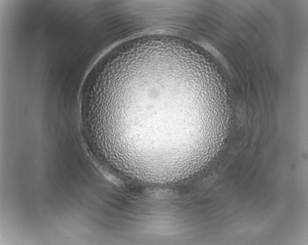X0000071940886200607212157