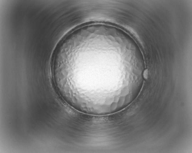 X0000071940887200607212157