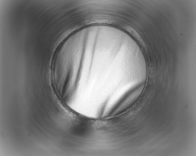 X0000071940890200607212157