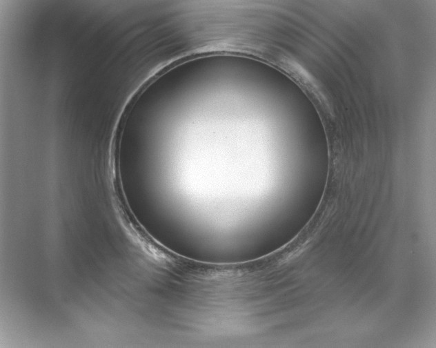 X0000071940892200607212157