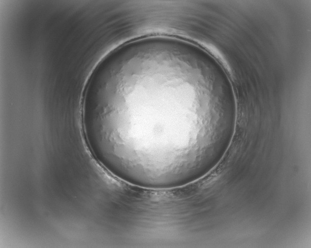 X0000071940903200607212157