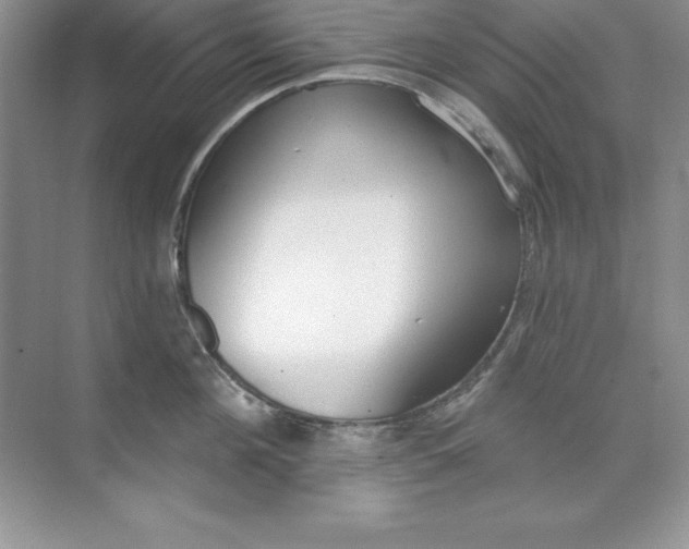X0000071940908200607212157