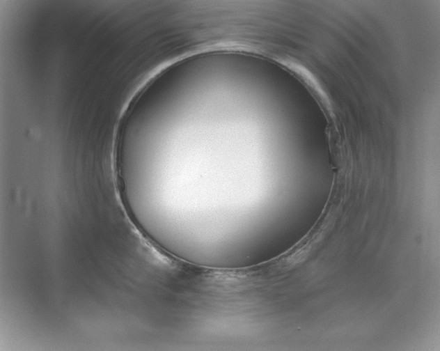 X0000071940910200607212157