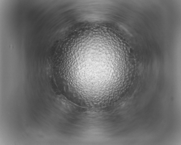 X0000071940917200607212156