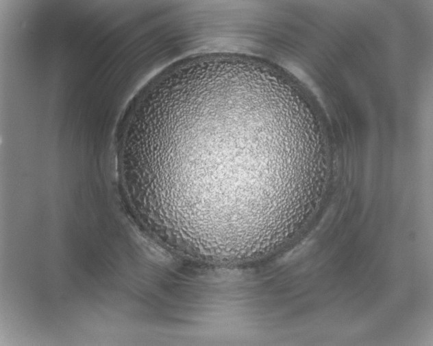 X0000071940925200607212156