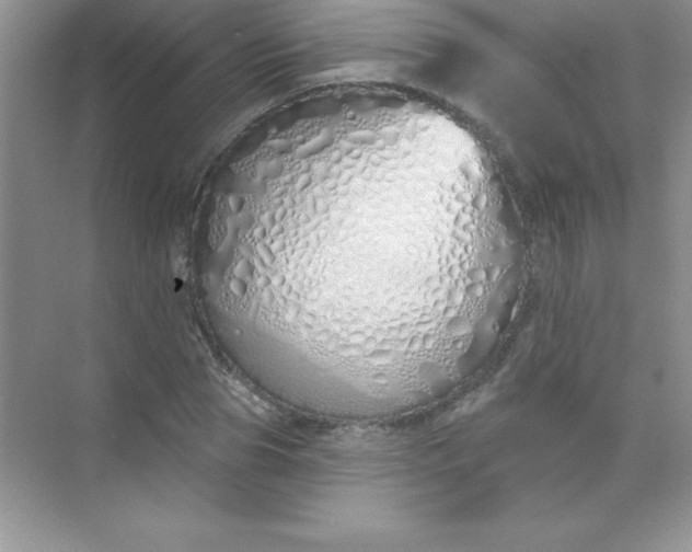 X0000071940929200607212157