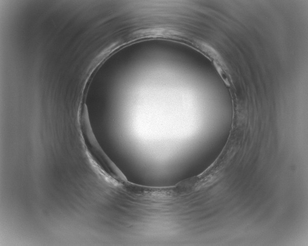X0000071940946200607212157