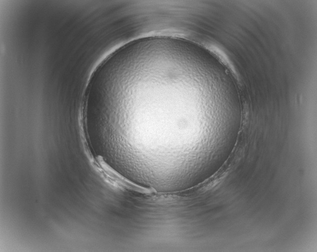 X0000071940952200607212157