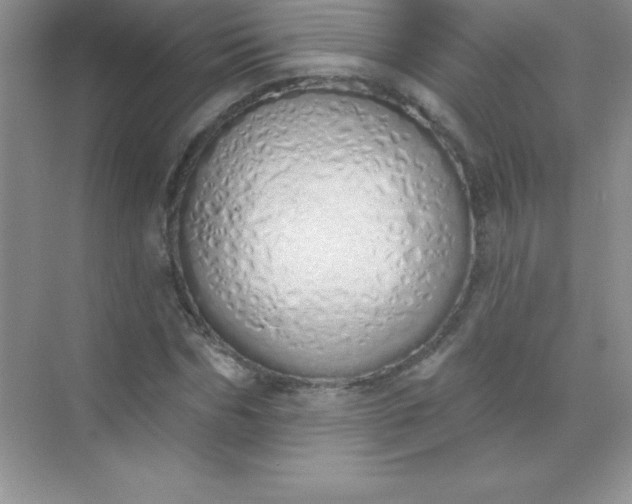 X0000071940970200607212156