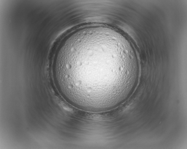 X0000071940971200607212156