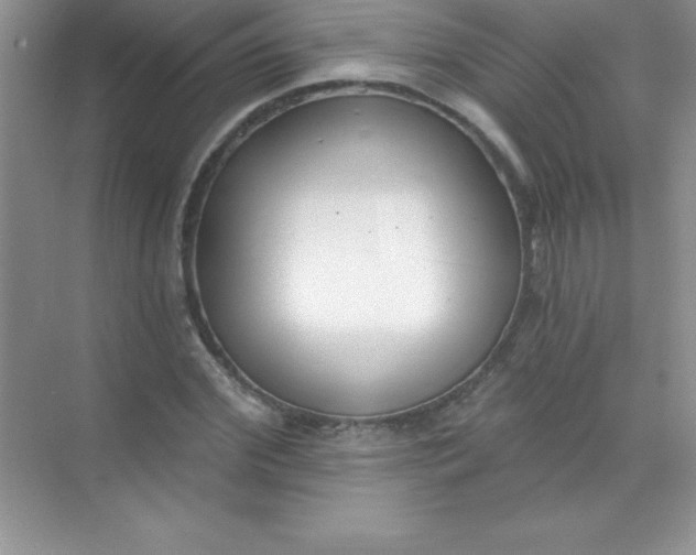 X0000071940972200607212156