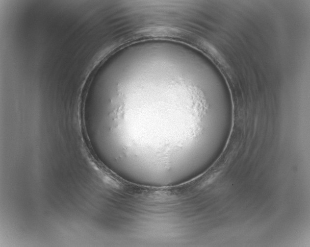 X0000071940986200607212156