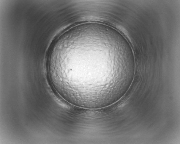 X0000071940987200607212156