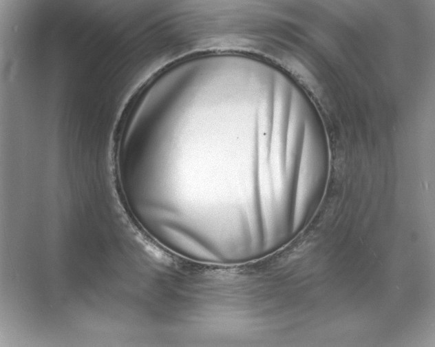 X0000071940990200607212156
