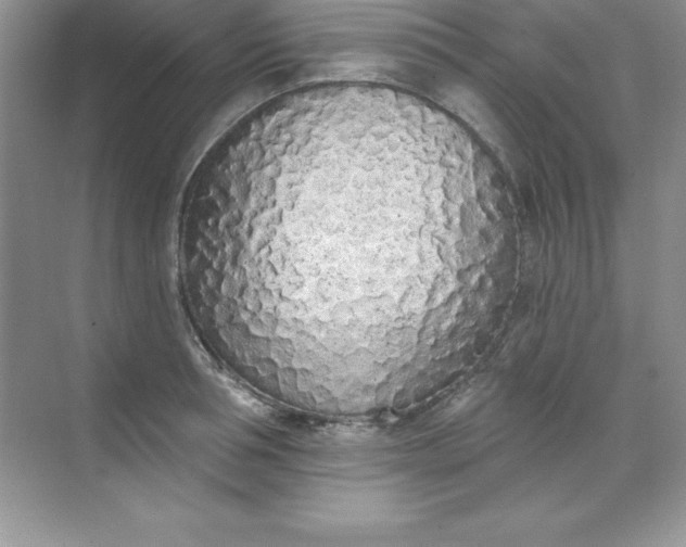 X0000071940994200607212156