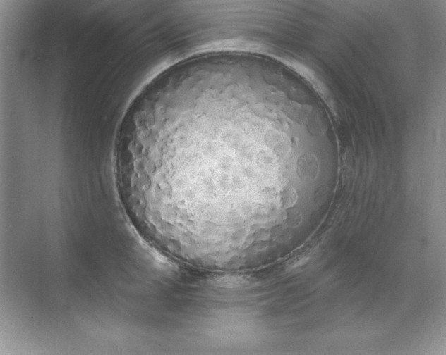 X0000071940998200607212156