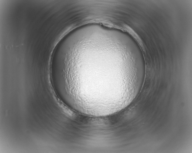 X0000071941002200607212156