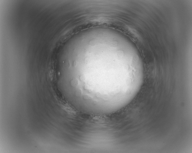 X0000071941015200607212155