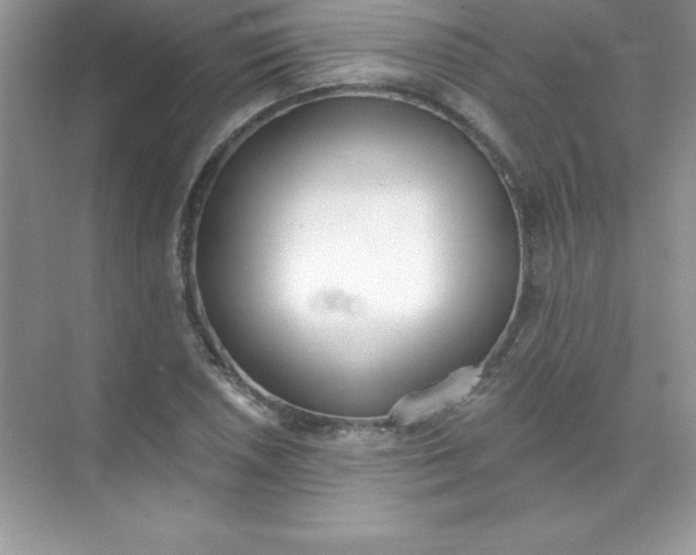 X0000071941026200607212155