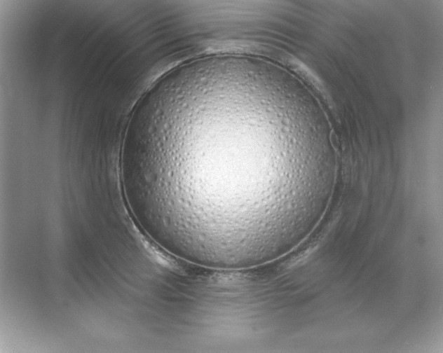 X0000071941041200607212155