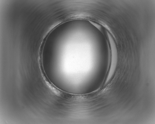 X0000071941042200607212155