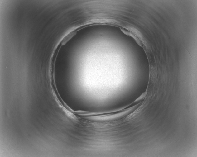 X0000071941046200607212155