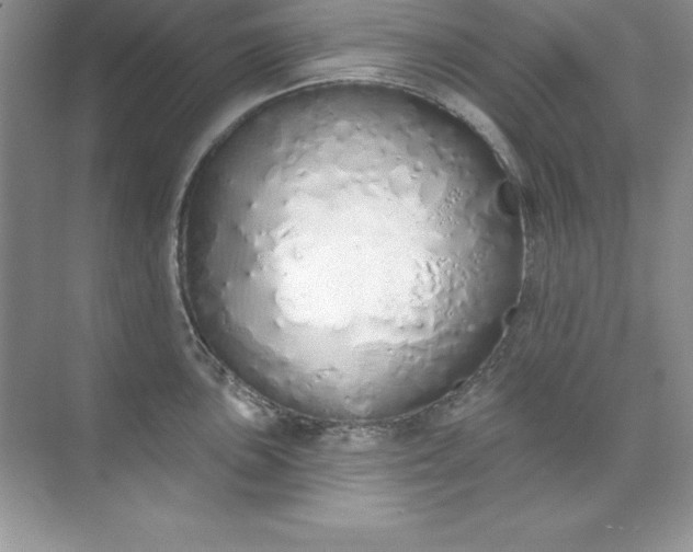 X0000071941051200607212155