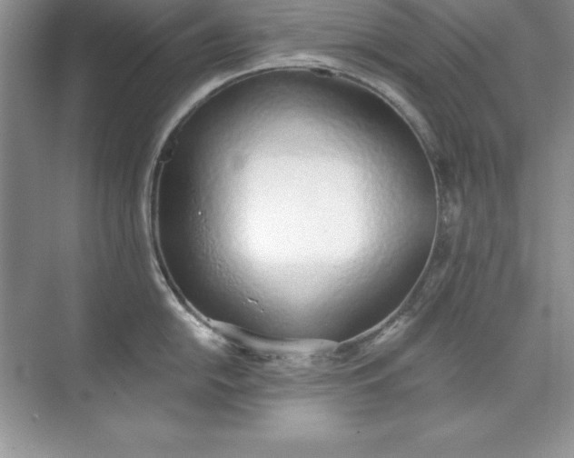 X0000071941054200607212155