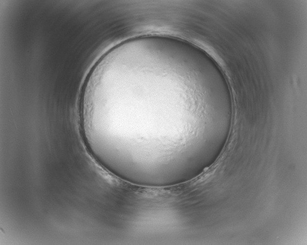 X0000071941056200607212155