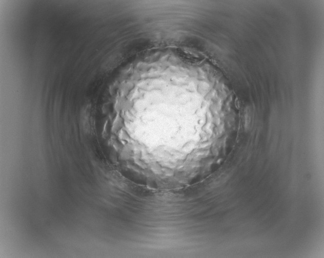 X0000071941059200607212155