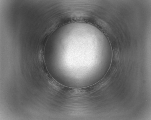 X0000071941060200607212155