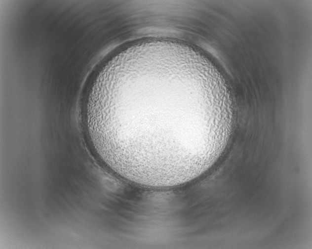 X0000071941074200607212154