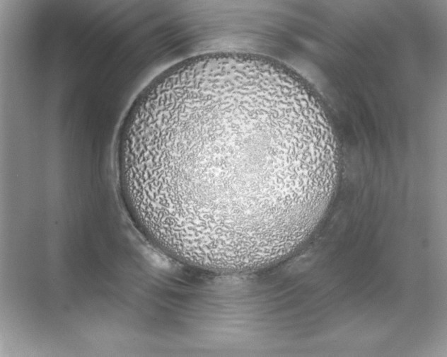 X0000071941078200607212154
