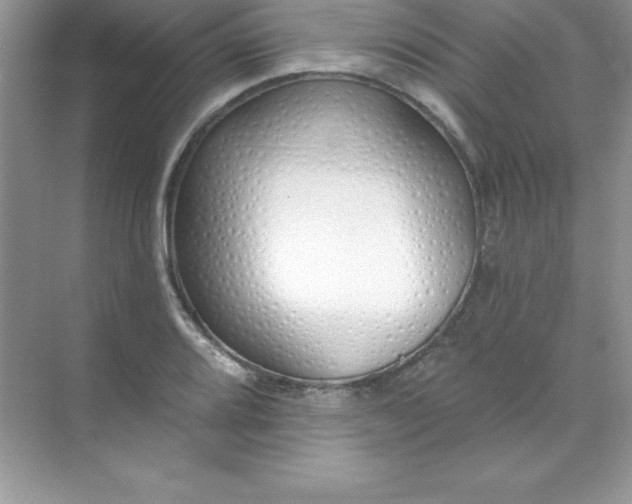 X0000071941080200607212154